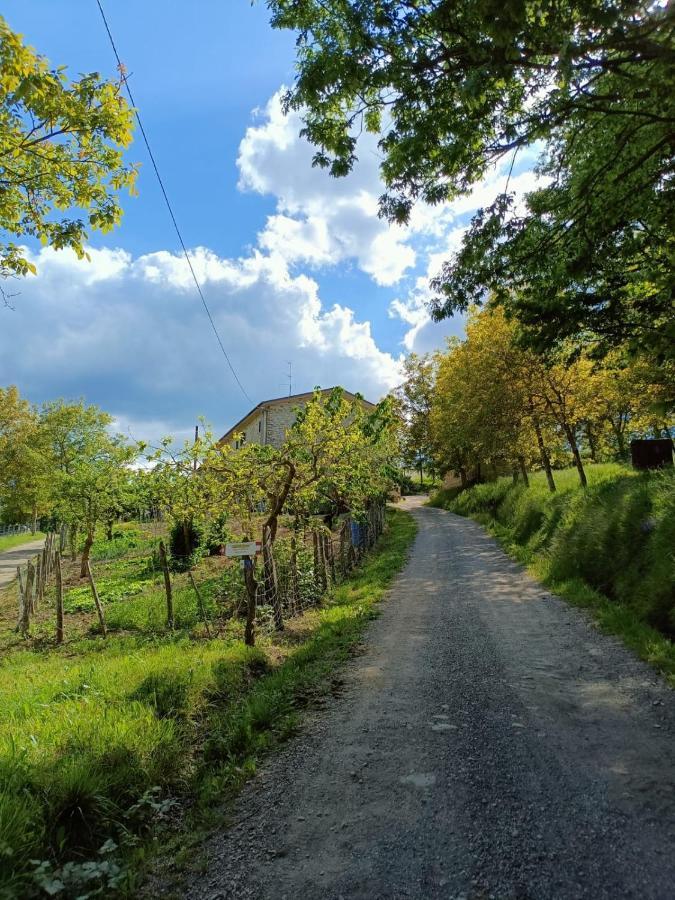 Agriturismo Al Monte San Piero in Bagno Kültér fotó